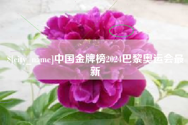 沈丘中国金牌榜2024巴黎奥运会最新