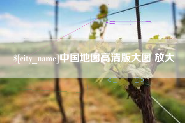 沈丘中国地图高清版大图 放大