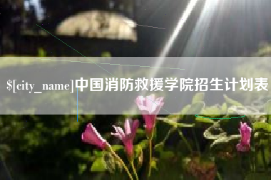 沈丘中国消防救援学院招生计划表