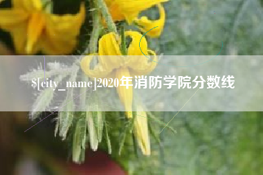 沈丘2020年消防学院分数线