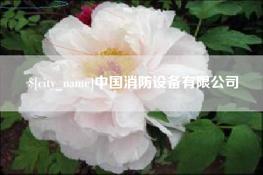 沈丘中国消防设备有限公司