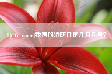 沈丘我国的消防日是几月几号？
