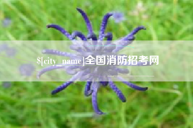 沈丘全国消防招考网