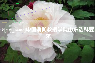 沈丘中国消防救援学院山东选科要求