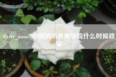沈丘中国消防救援学院什么时候政审