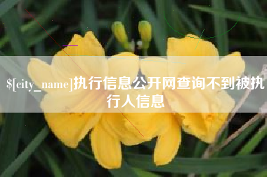 沈丘执行信息公开网查询不到被执行人信息