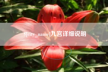 沈丘九宫详细说明