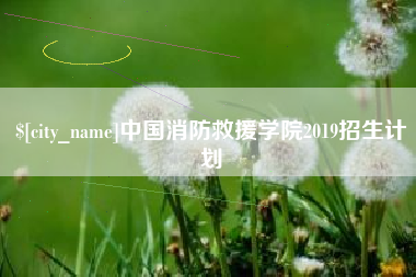 沈丘中国消防救援学院2019招生计划