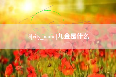 沈丘九金是什么