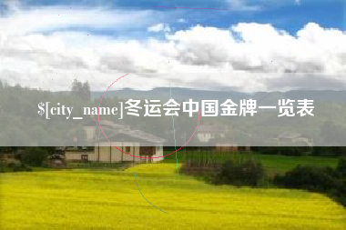 沈丘冬运会中国金牌一览表