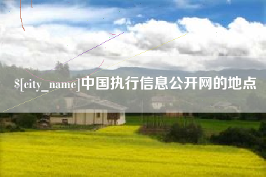 沈丘中国执行信息公开网的地点