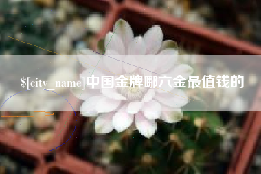 沈丘中国金牌哪六金最值钱的