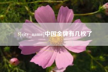 沈丘中国金牌有几枚了