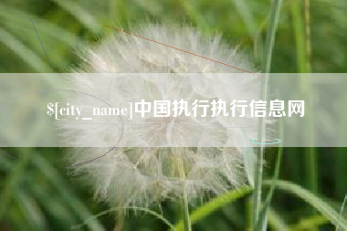 沈丘中国执行执行信息网