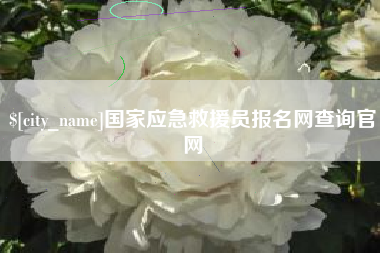 沈丘国家应急救援员报名网查询官网