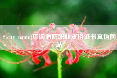 沈丘查询消防职业资格证书真伪网站