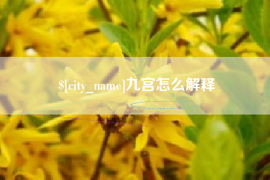 沈丘九宫怎么解释