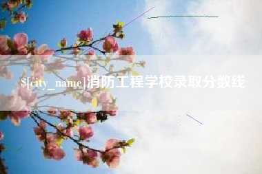 沈丘消防工程学校录取分数线