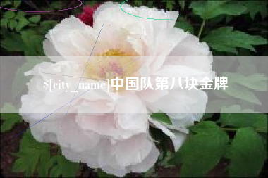 沈丘中国队第八块金牌