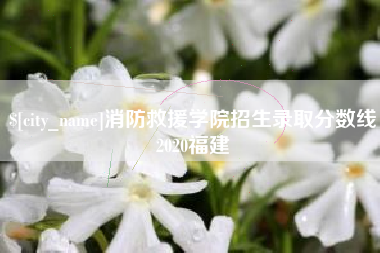 沈丘消防救援学院招生录取分数线2020福建