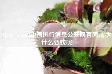 沈丘中国执行信息公开网官网app为什么要钱呢