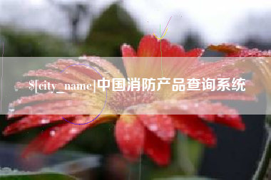 沈丘中国消防产品查询系统