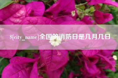 沈丘全国的消防日是几月几日