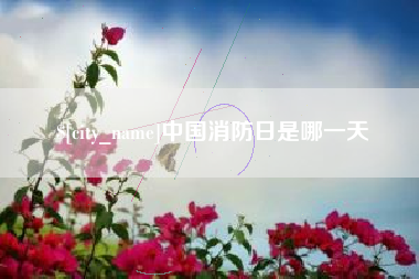 沈丘中国消防日是哪一天