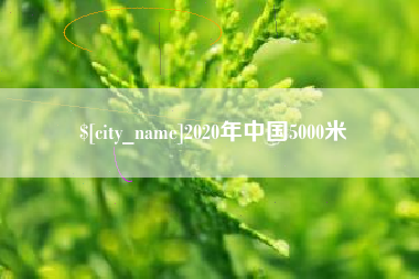 沈丘2020年中国5000米