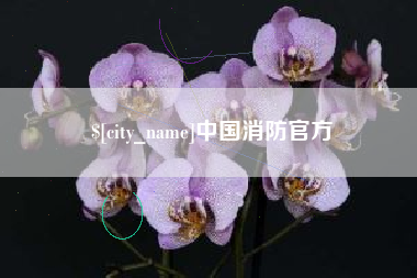 沈丘中国消防官方