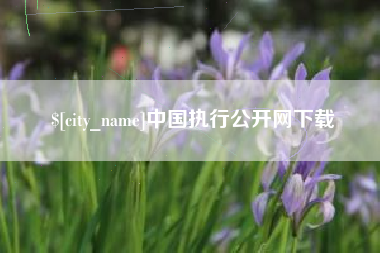 沈丘中国执行公开网下载