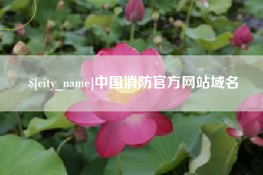 沈丘中国消防官方网站域名