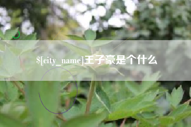 沈丘王子豪是个什么