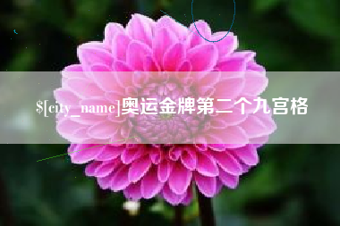 沈丘奥运金牌第二个九宫格