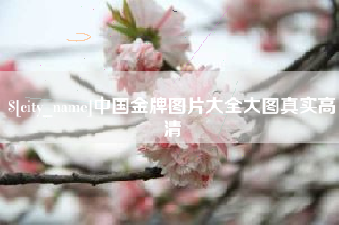 沈丘中国金牌图片大全大图真实高清