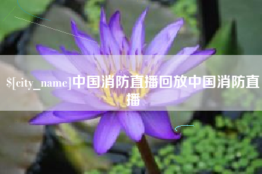 沈丘中国消防直播回放中国消防直播