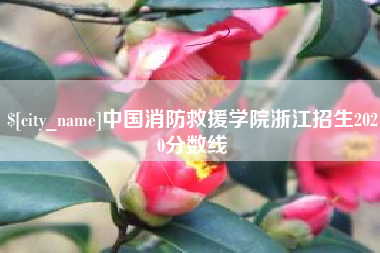 沈丘中国消防救援学院浙江招生2020分数线