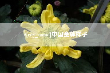 沈丘中国金牌样子