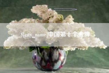 沈丘中国第十个金牌