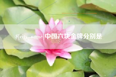 沈丘中国六块金牌分别是