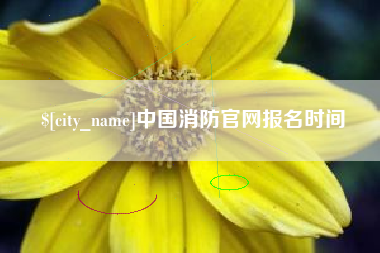 沈丘中国消防官网报名时间