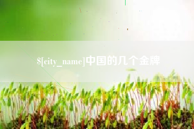 沈丘中国的几个金牌