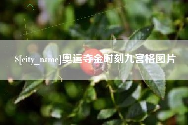 沈丘奥运夺金时刻九宫格图片