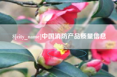 沈丘中国消防产品质量信息