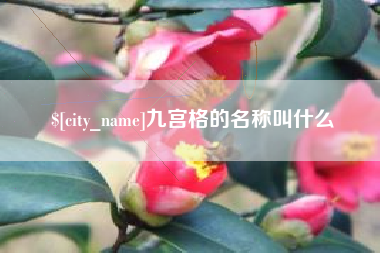 沈丘九宫格的名称叫什么