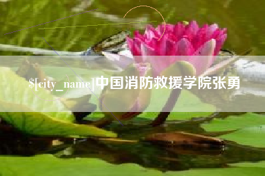 沈丘中国消防救援学院张勇