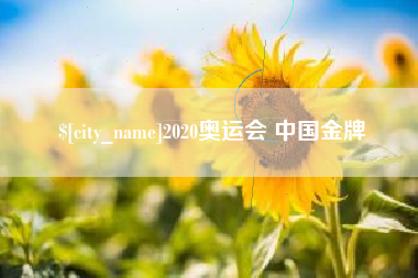 沈丘2020奥运会 中国金牌