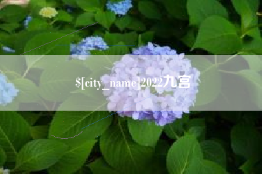 沈丘2022九宫