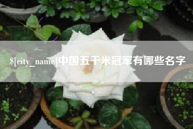 沈丘中国五千米冠军有哪些名字