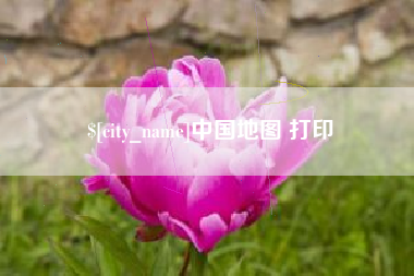 沈丘中国地图 打印